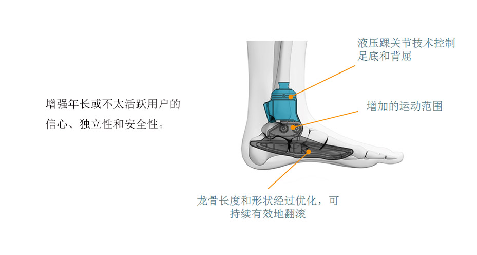 液壓踝萬向腳2